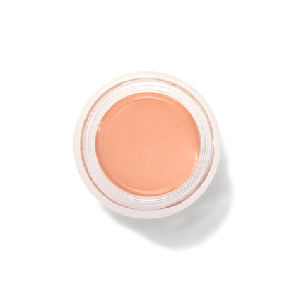Fruit Pigmented® Long Last Concealer with Super Fruits
