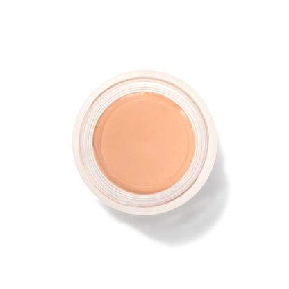 Fruit Pigmented® Long Last Concealer with Super Fruits