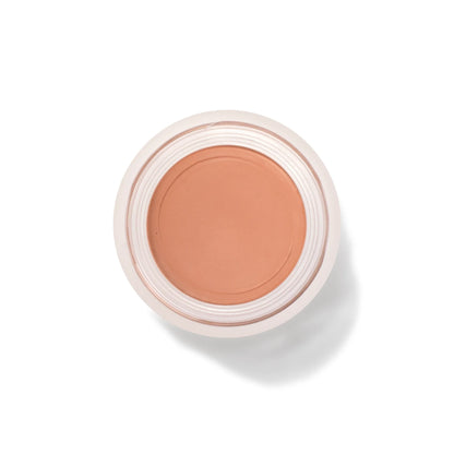 Fruit Pigmented® Long Last Concealer with Super Fruits