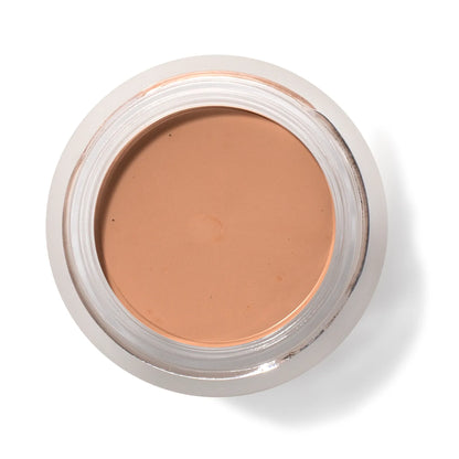 Fruit Pigmented® Long Last Concealer with Super Fruits