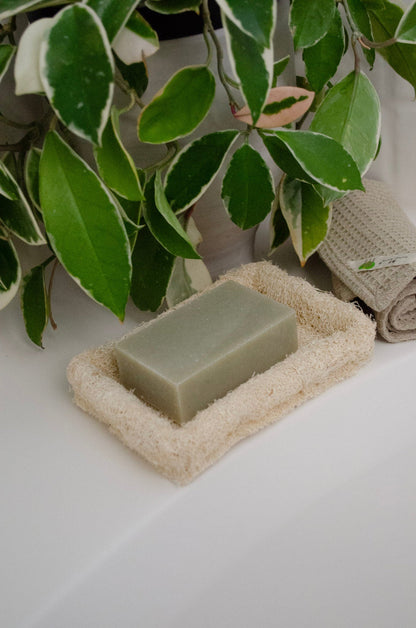 Natural Loofah Soap Dish