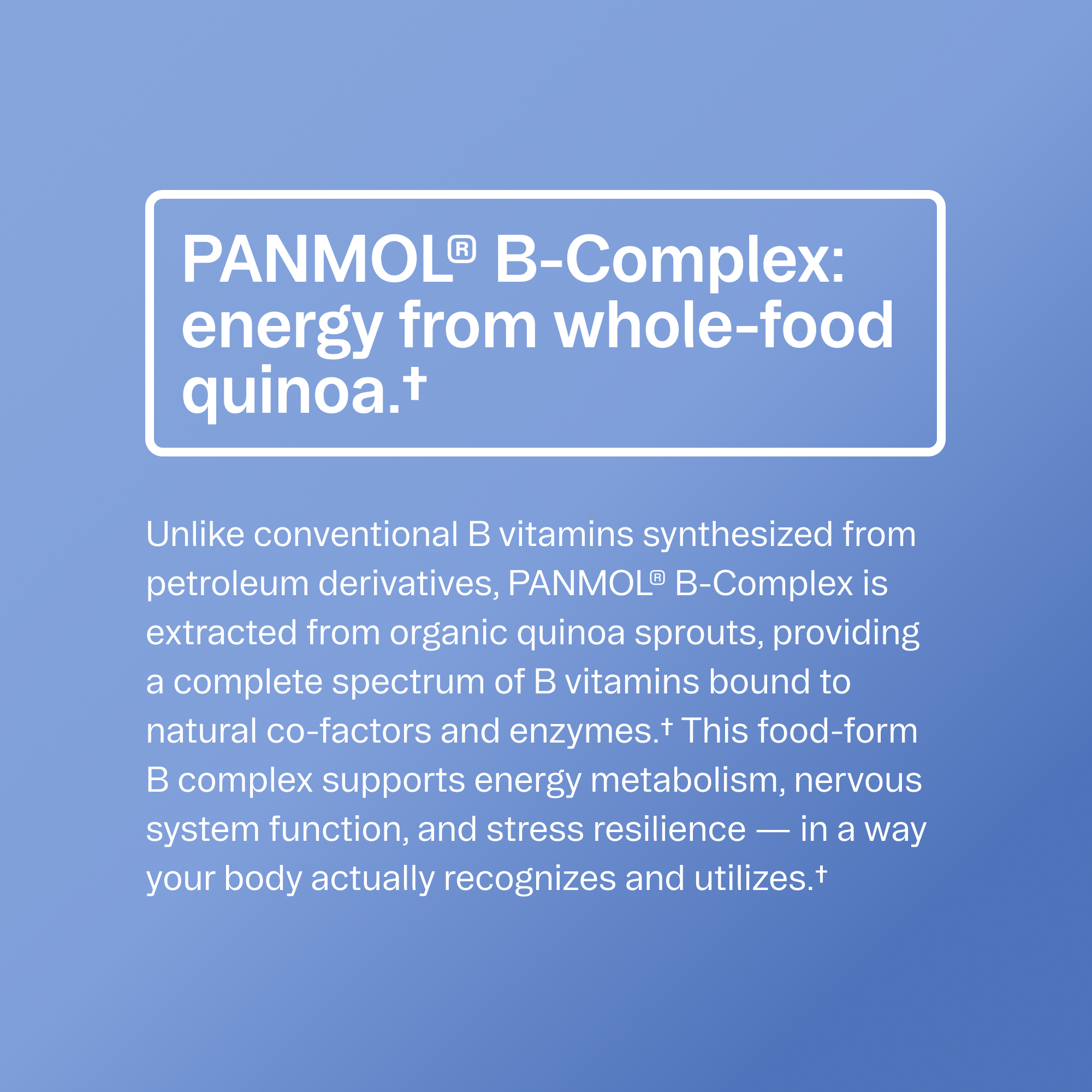 Plant-based Multivitamin