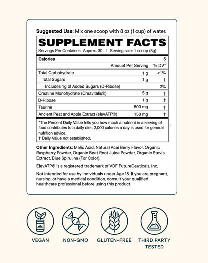 Creatine Powder