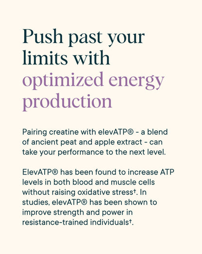 Creatine Powder