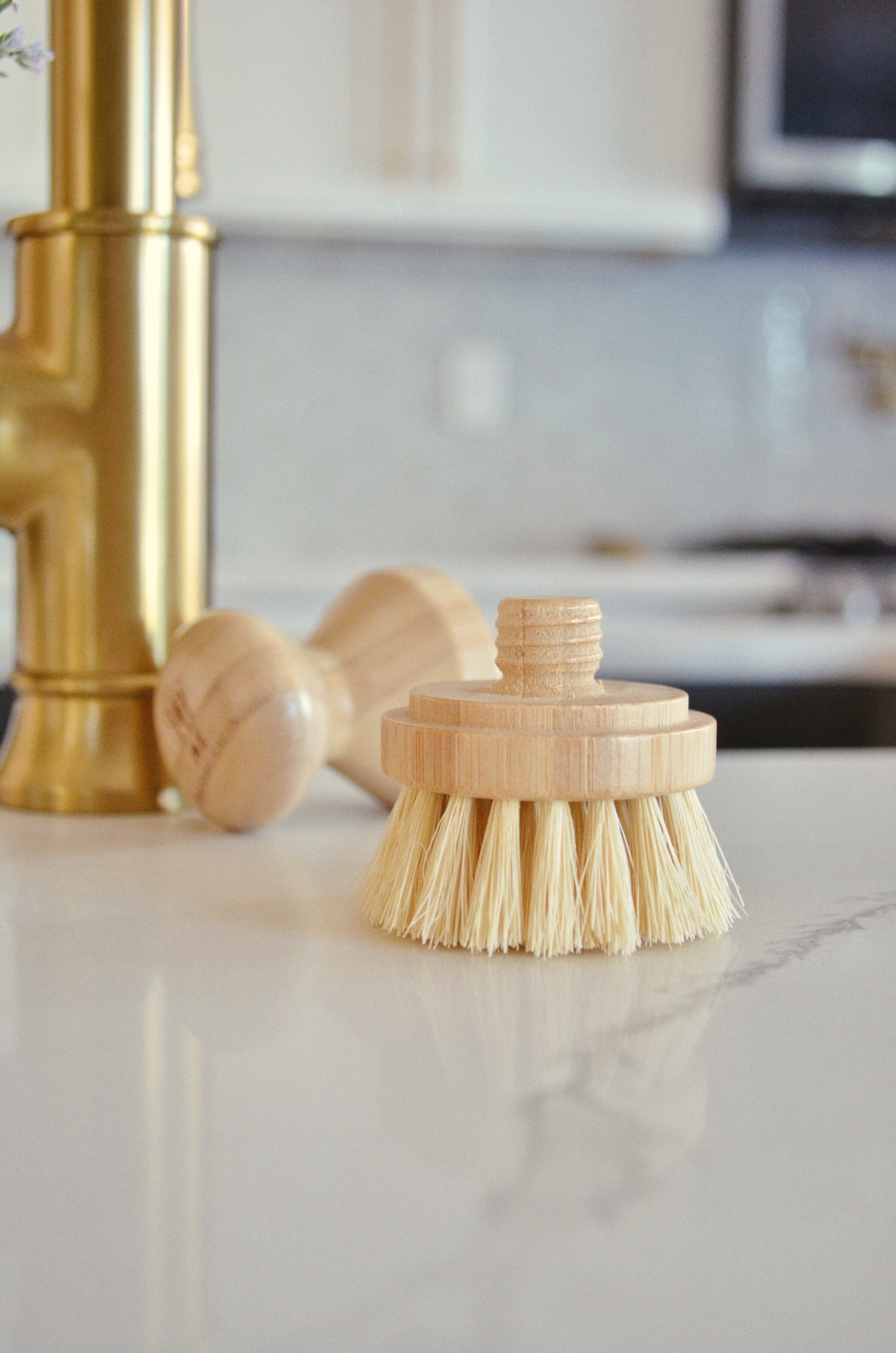 Multipurpose Sisal Wood Hand Brush