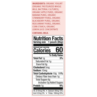 Holle Organic Yogurt Pouches - Apple, Banana & Berries by Holle USA