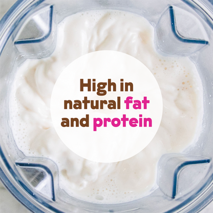 Organic Cashew Milk Base by JOI