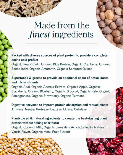 Organic Plant-based Protein Powder