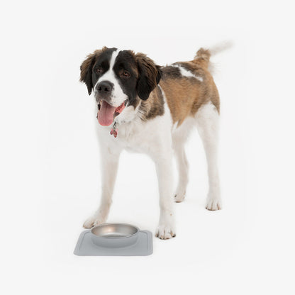 The Great Bowl (32oz Single) by Ono