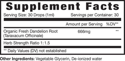 Dandelion Extract Alcohol-Free Tincture