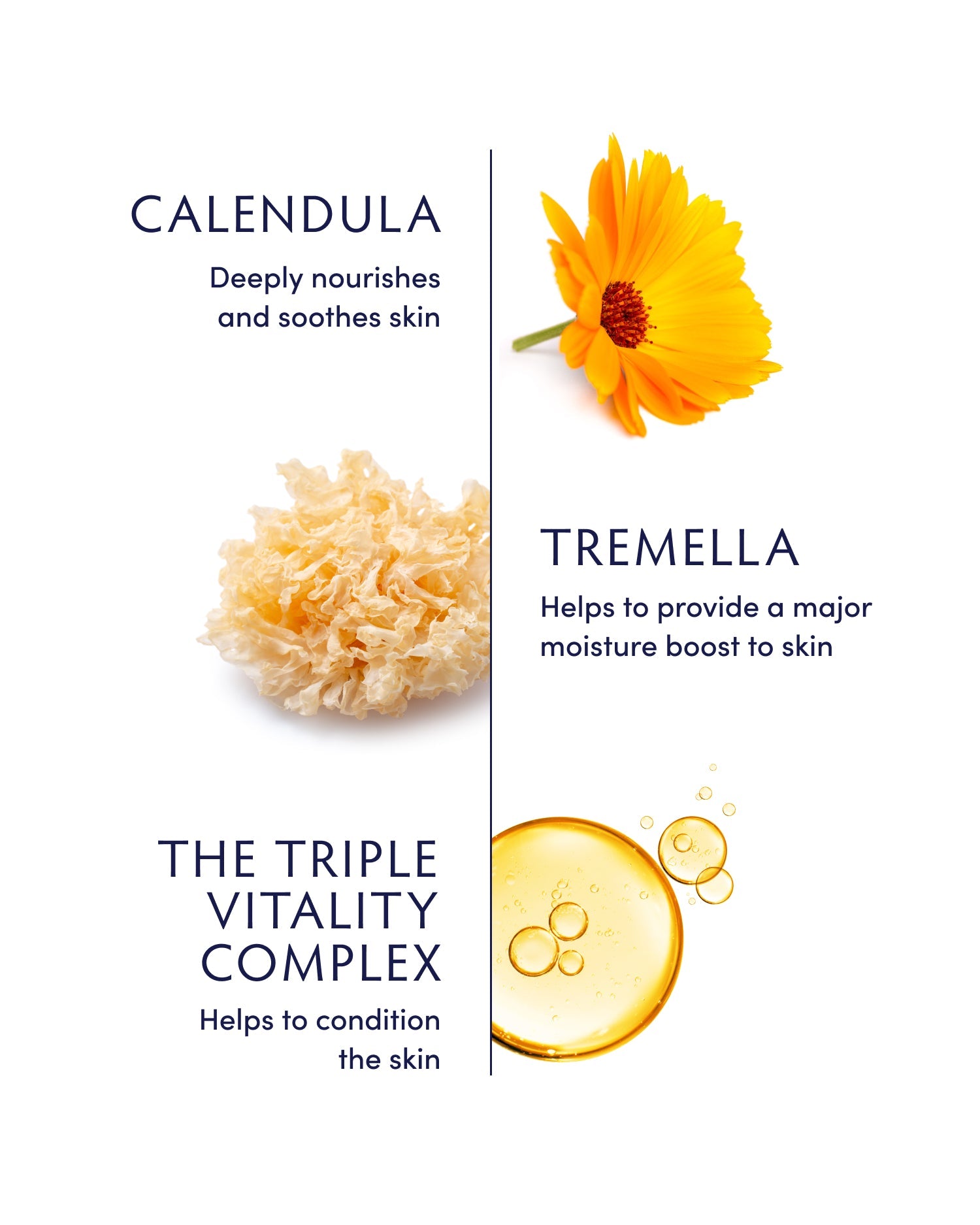 Calendula & Tremella Nourishing Body Butter by Naturopathica