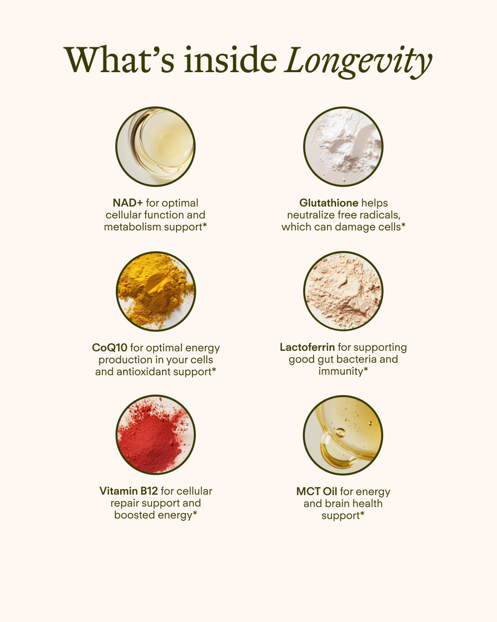 Longevity Sunny Within