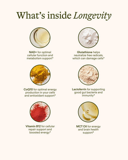 Longevity Sunny Within