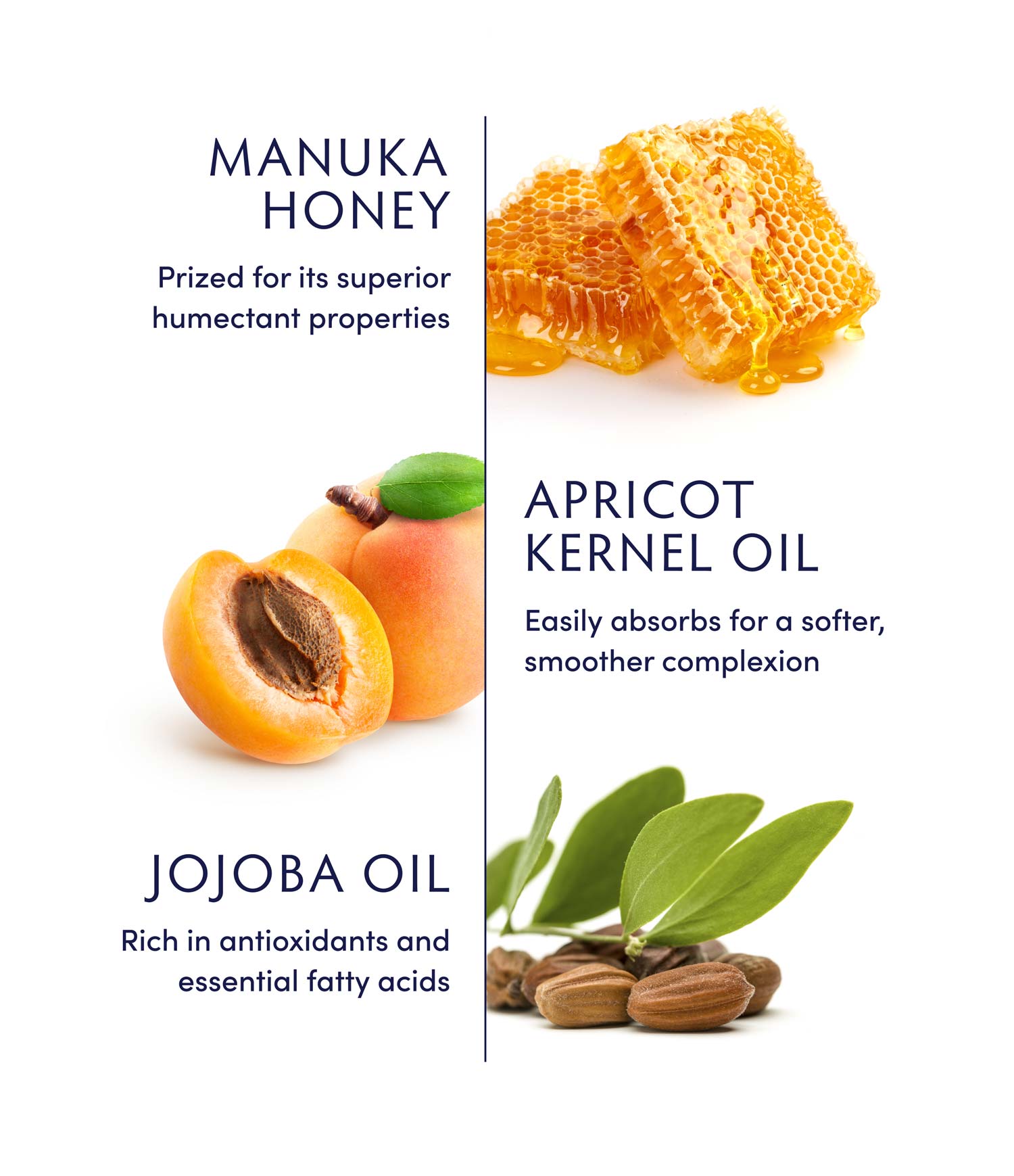 Manuka Honey Whipped Oil by Naturopathica