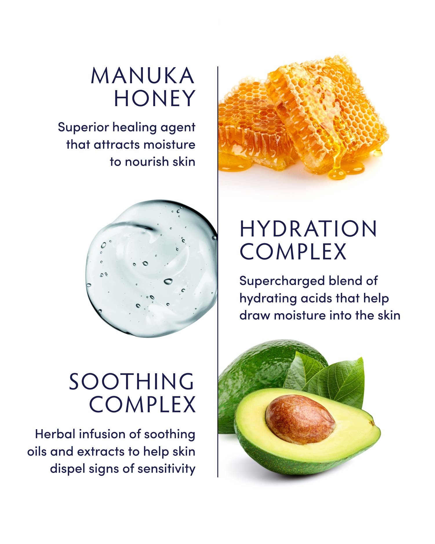 Manuka Honey Creamy Body Lotion by Naturopathica