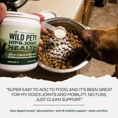 Wild Pets - Blue Lipped Mussel & Glucosamine Powder