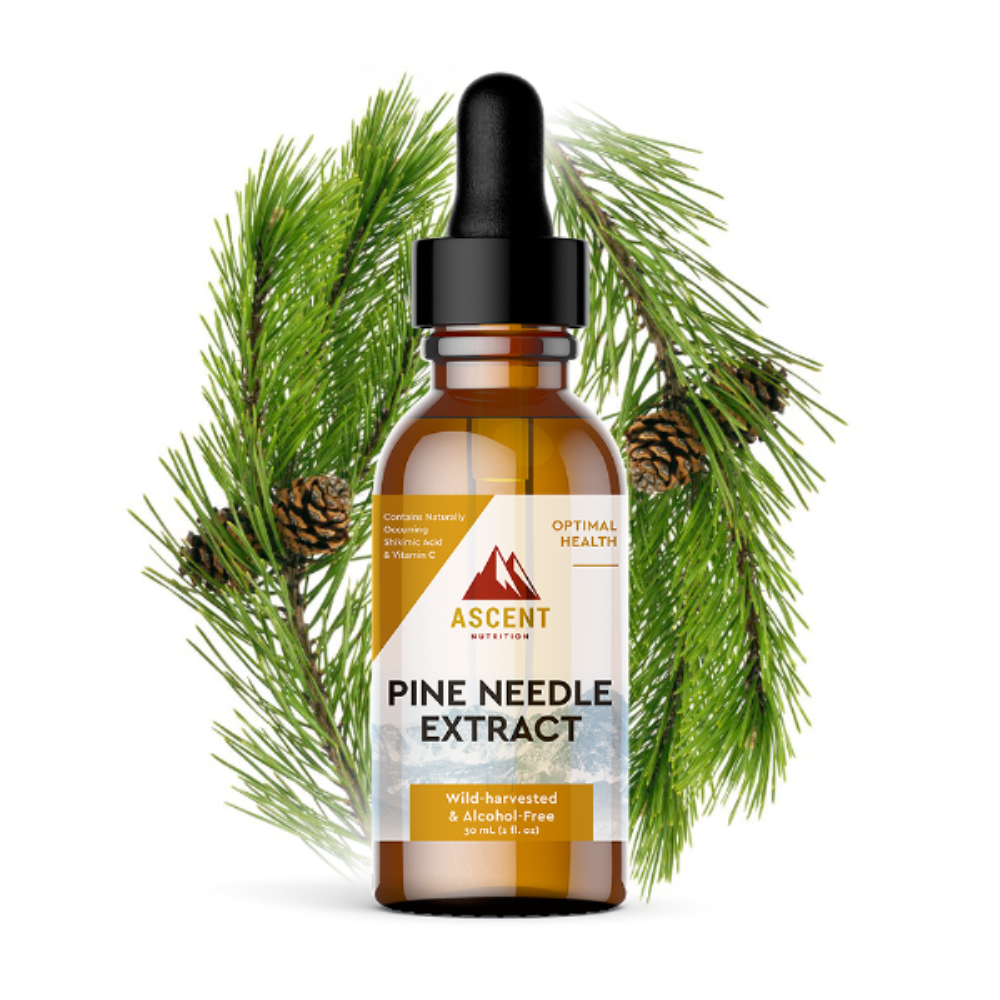 Pine Needle Extract, Pine Needle Tea Alternative, 30 ml Bottle by Ascent Nutrition