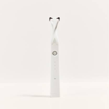 Slate Pro Electric Flosser