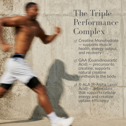 Creatine + GAA & R-ALA