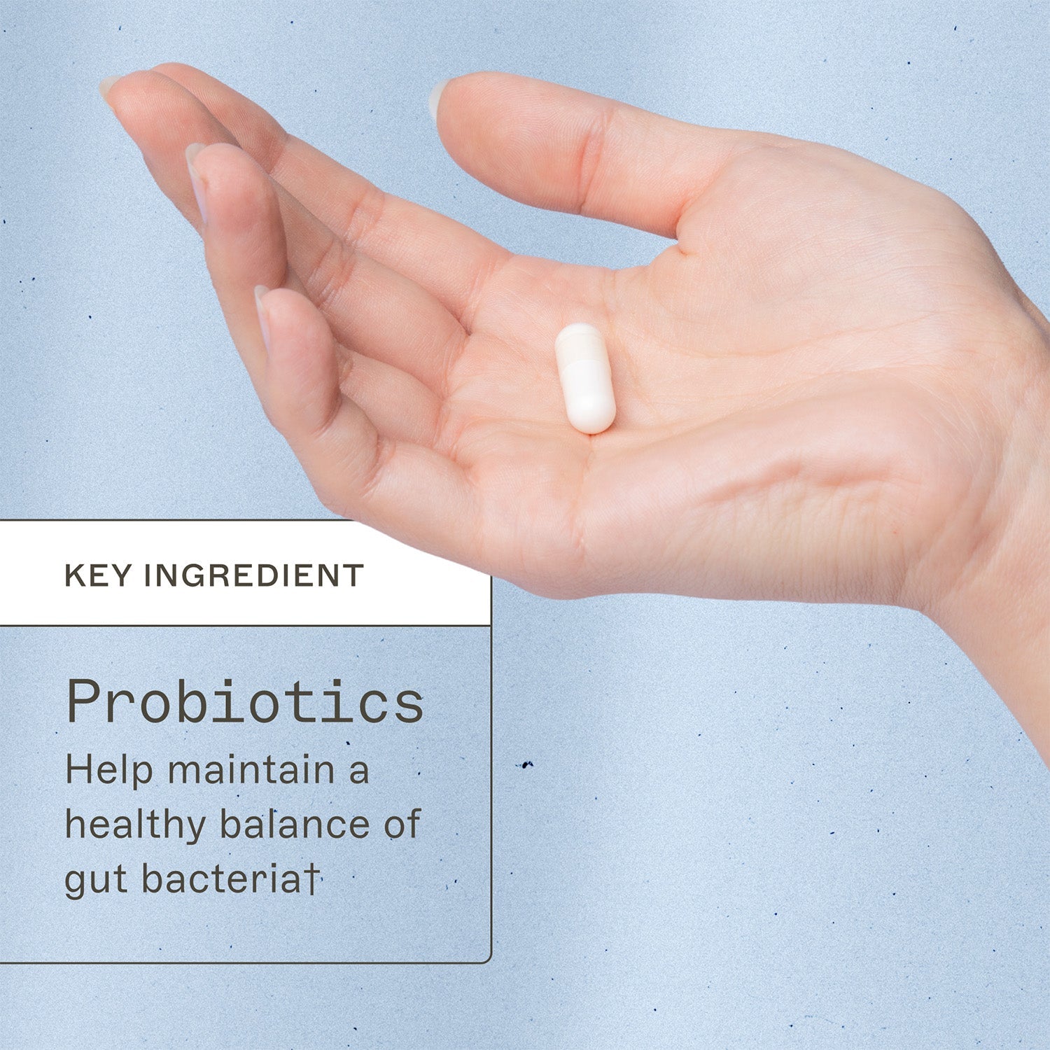 Primal Earth Probiotic by Amy Myers MD