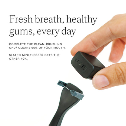 Slate Mini Flosser