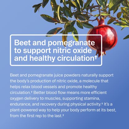 Organic Pre-Workout Powder