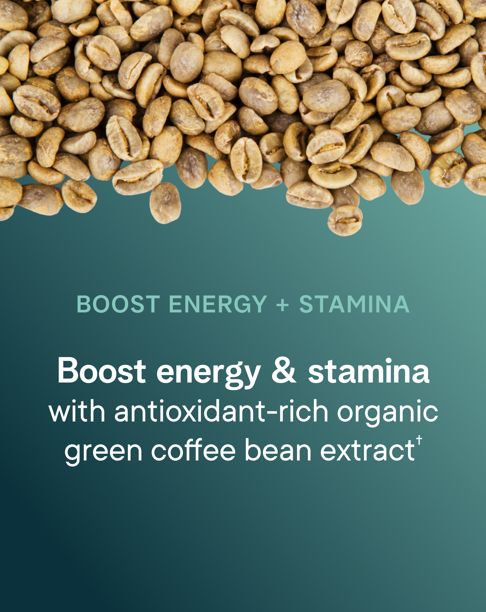 Performance Pre-workout