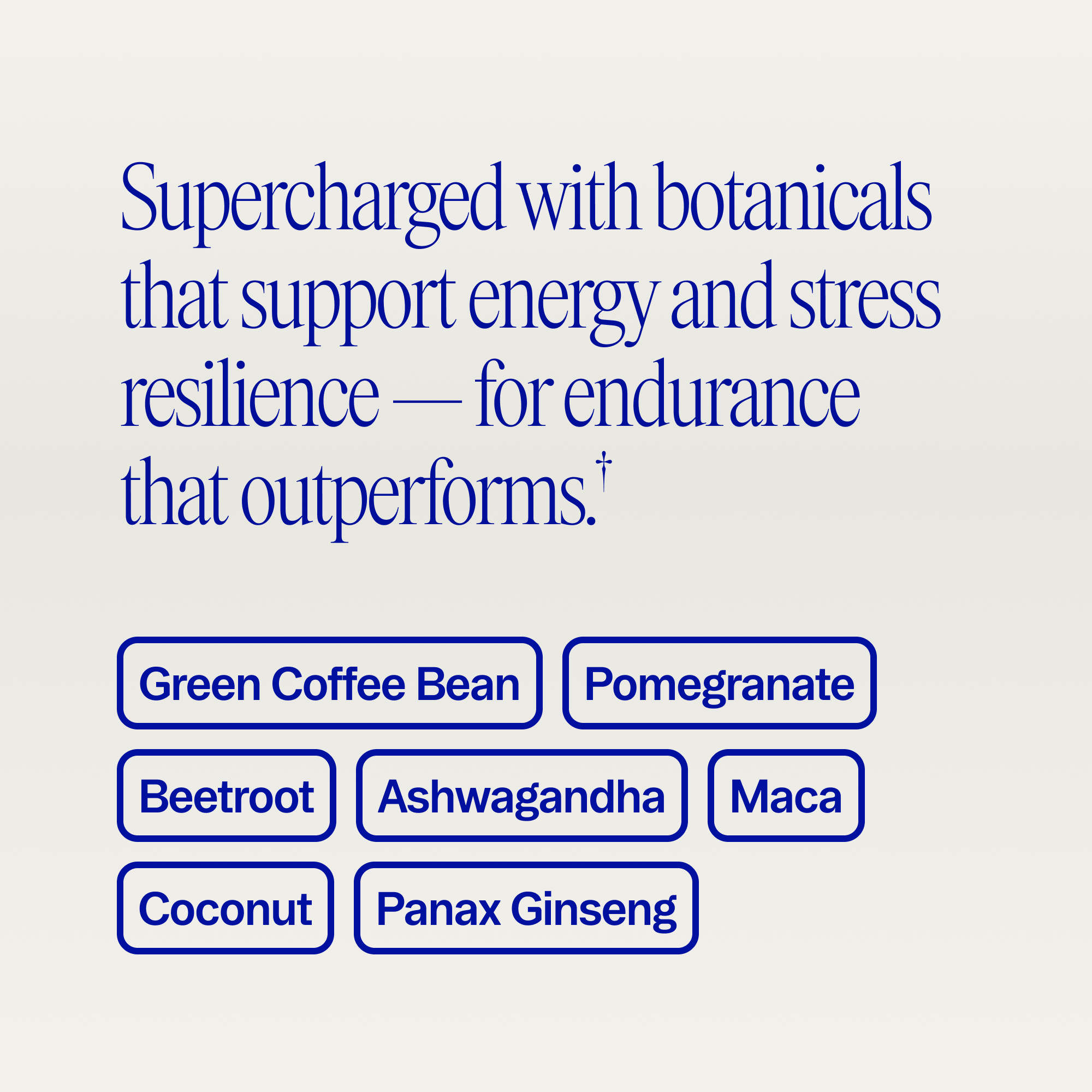 Performance Pre-workout