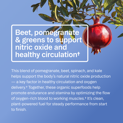 Performance Pre-workout