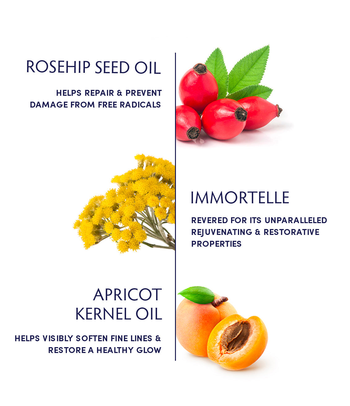 Rosehip Seed & Immortelle Regenerating Facial Oil by Naturopathica