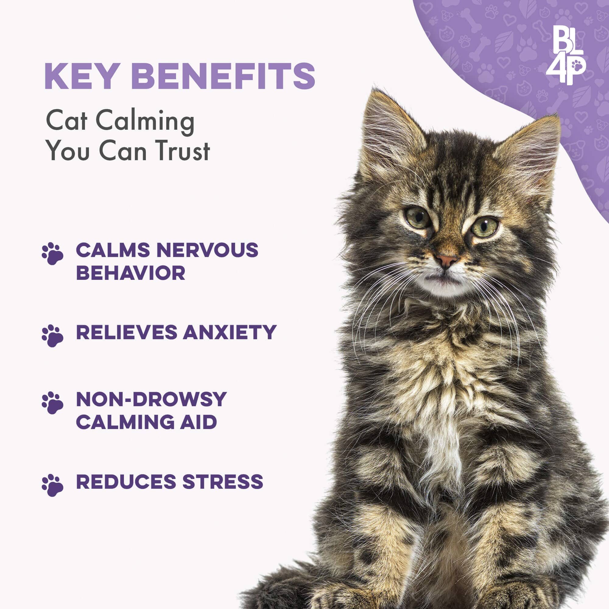 Pet Relax Anxiety and Stress Relief for Cats by BestLife4Pets