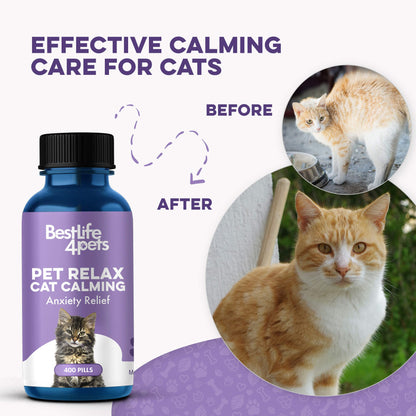Pet Relax Anxiety and Stress Relief for Cats by BestLife4Pets