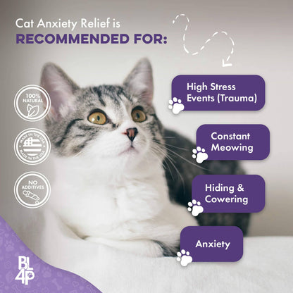 Pet Relax Anxiety and Stress Relief for Cats by BestLife4Pets