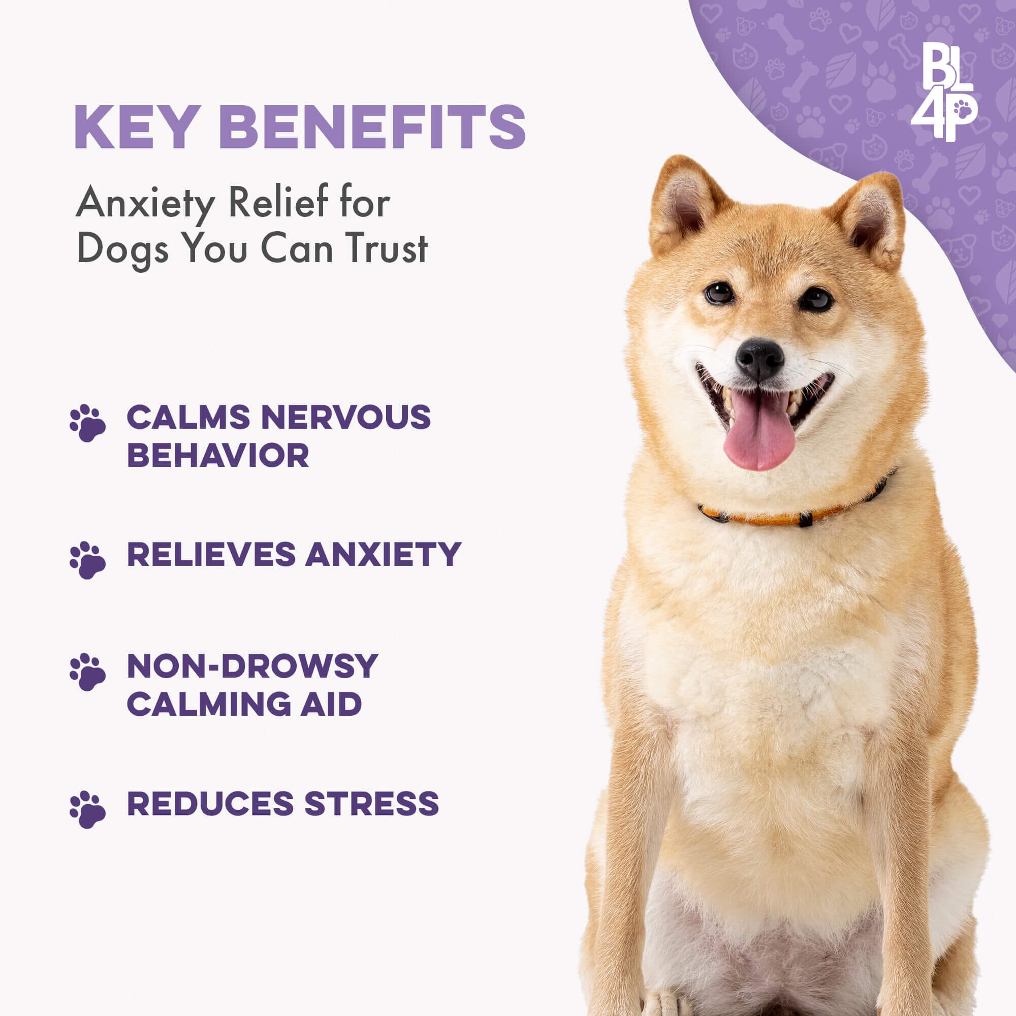 Pet Relax Dog Anxiety and Calming Relief Formula by BestLife4Pets