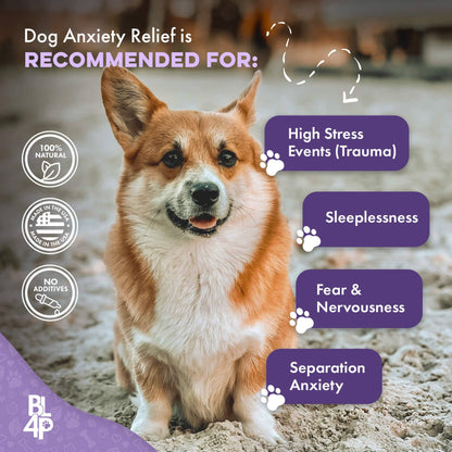 Pet Relax Dog Anxiety and Calming Relief Formula by BestLife4Pets