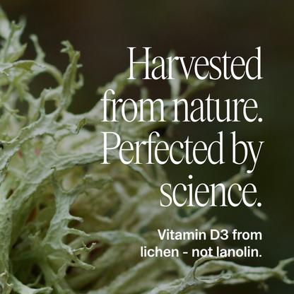 Plant-based Vitamin D Tablets