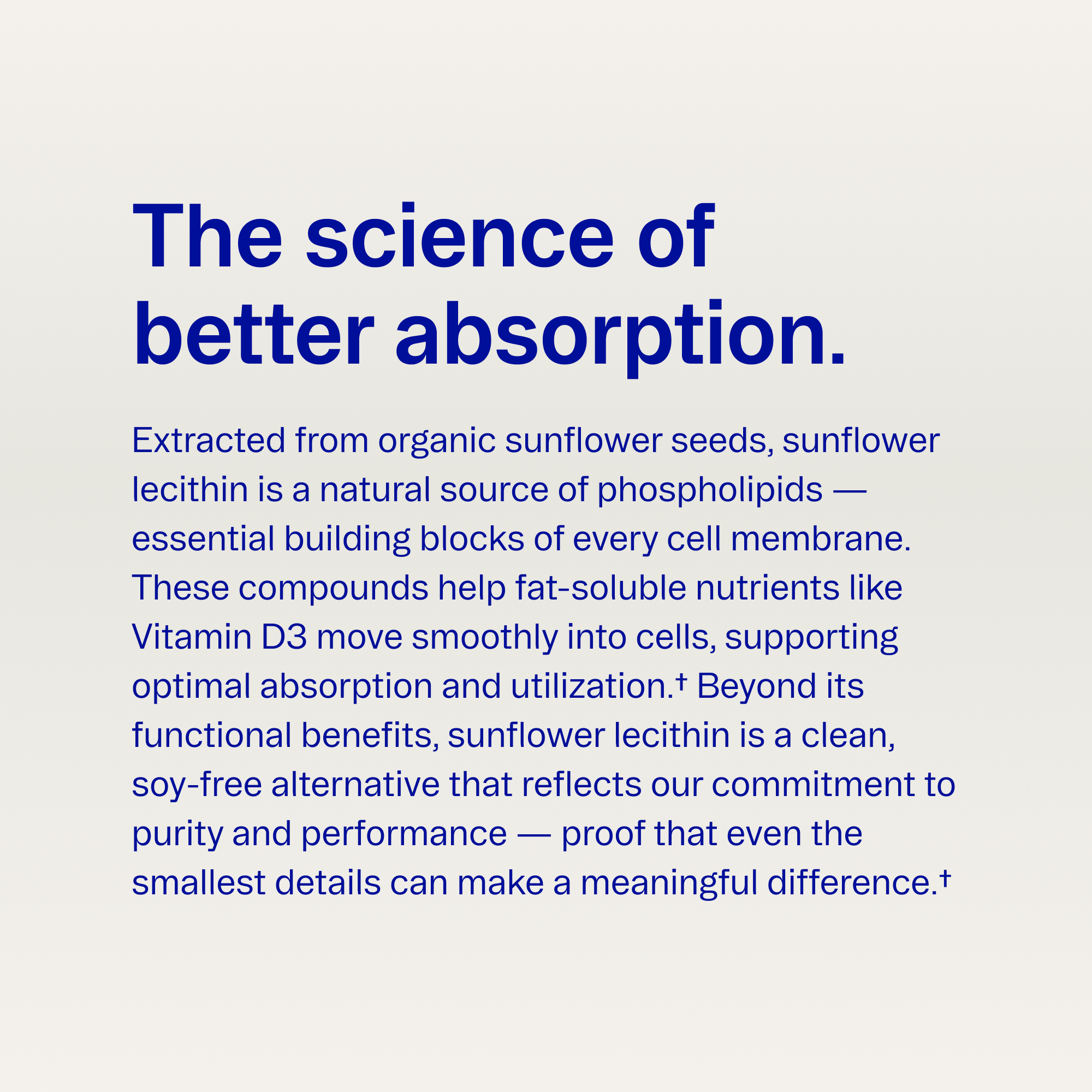 Plant-based Vitamin D Tablets