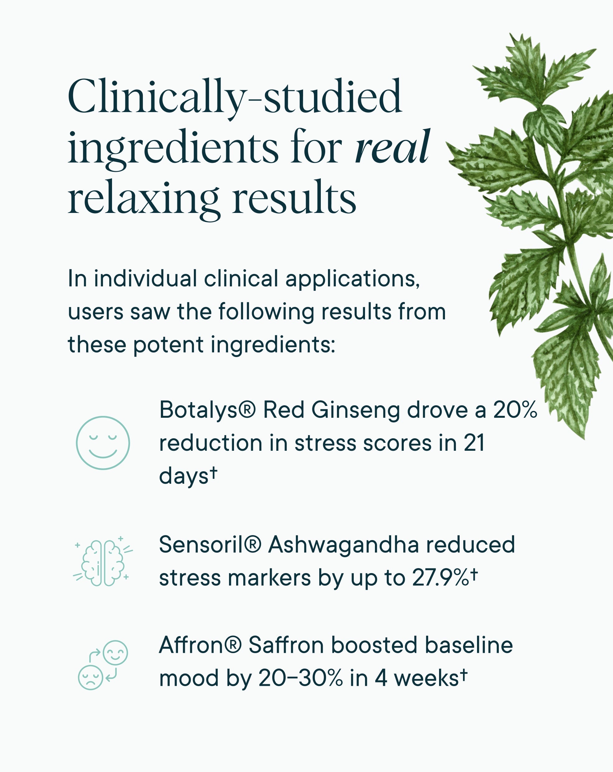 Stress Support
