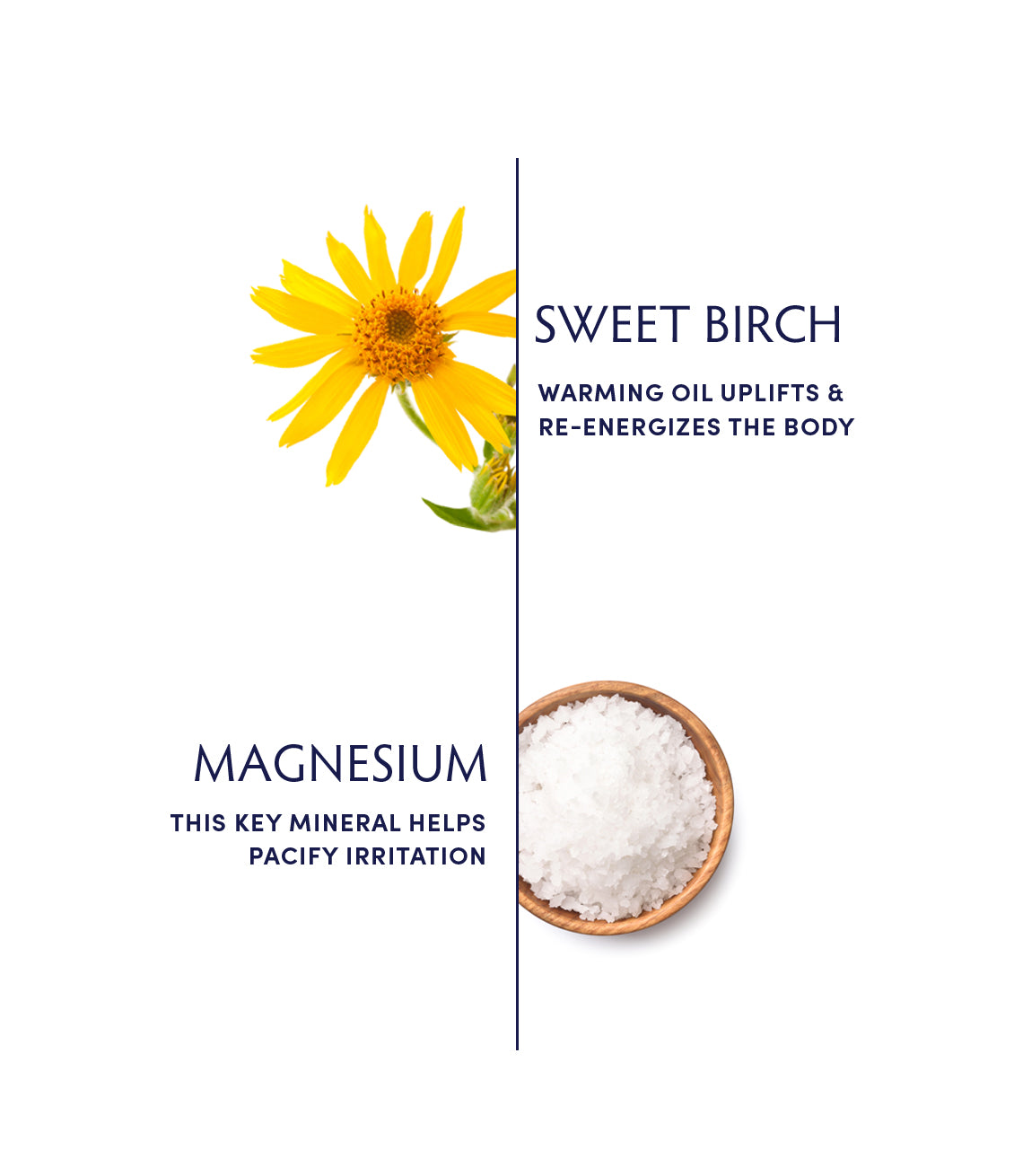 Sweet Birch & Magnesium Bath Flakes by Naturopathica