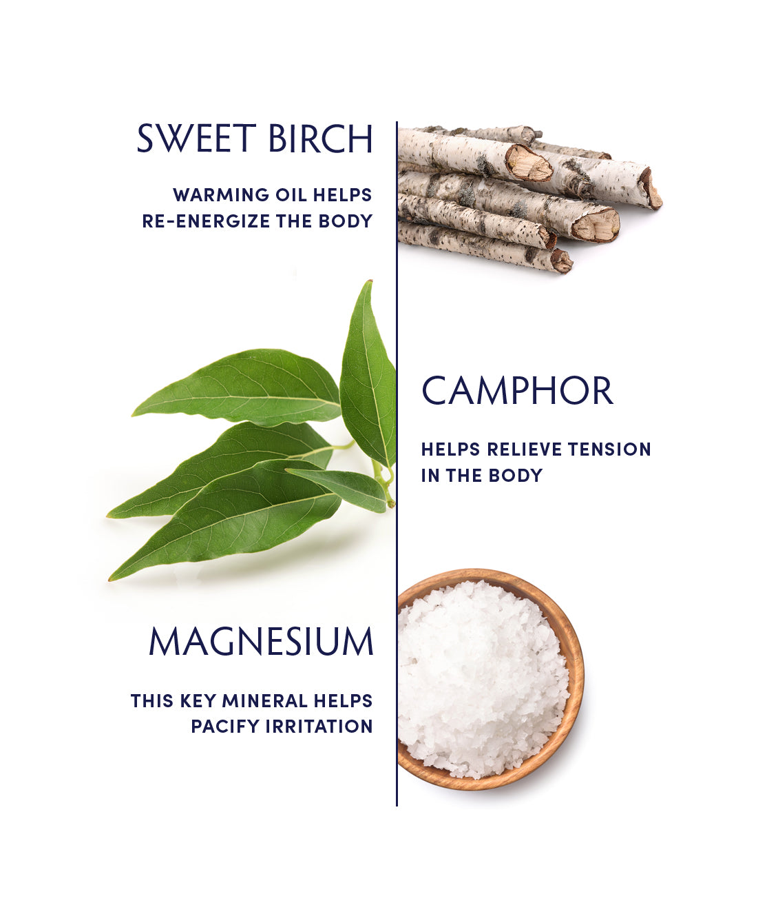 Sweet Birch & Camphor Rub by Naturopathica