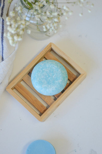 Shampoo Bars