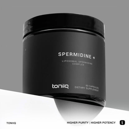 Spermidine +