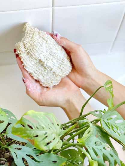 Zero Waste Self Care Kit II