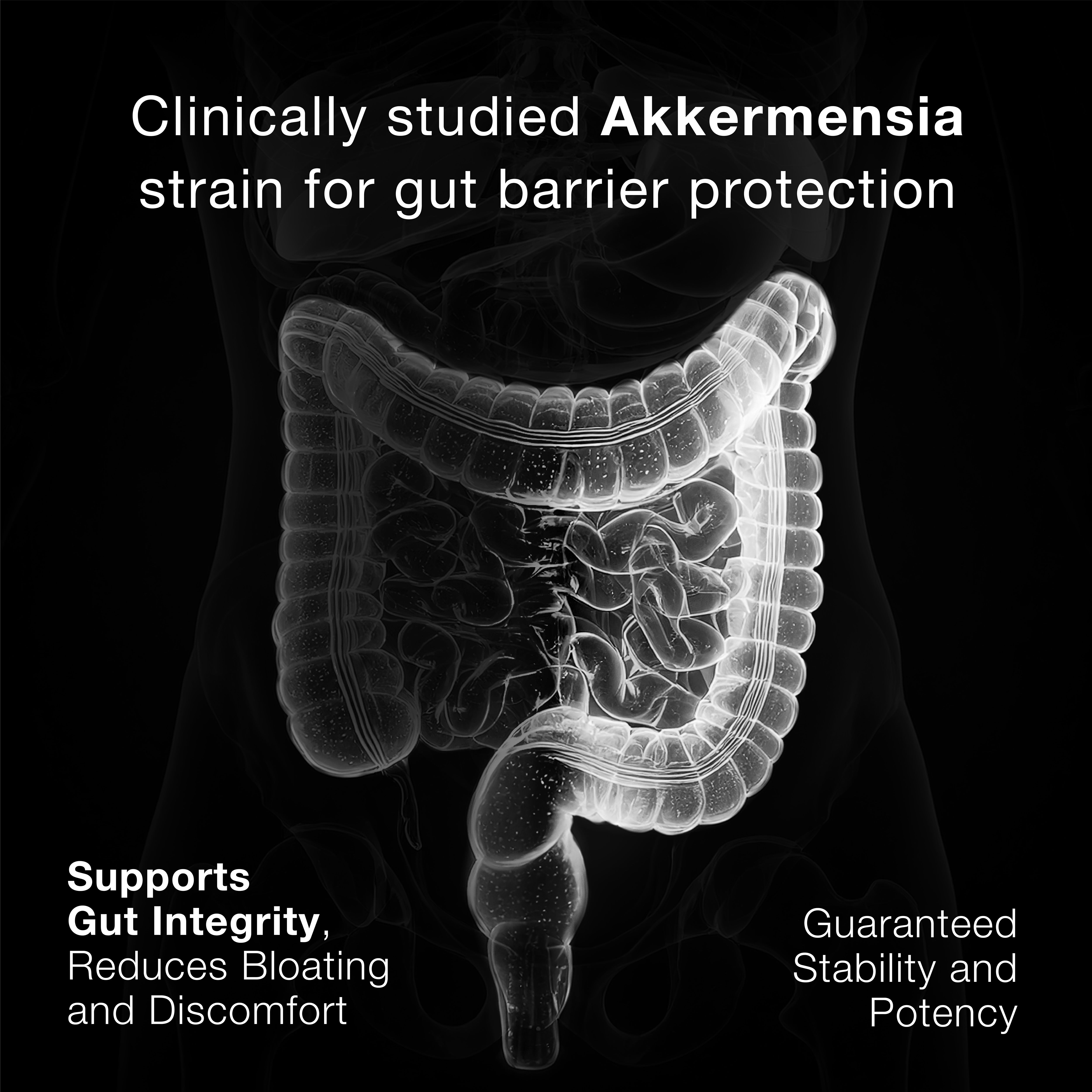 Akkermansia 50