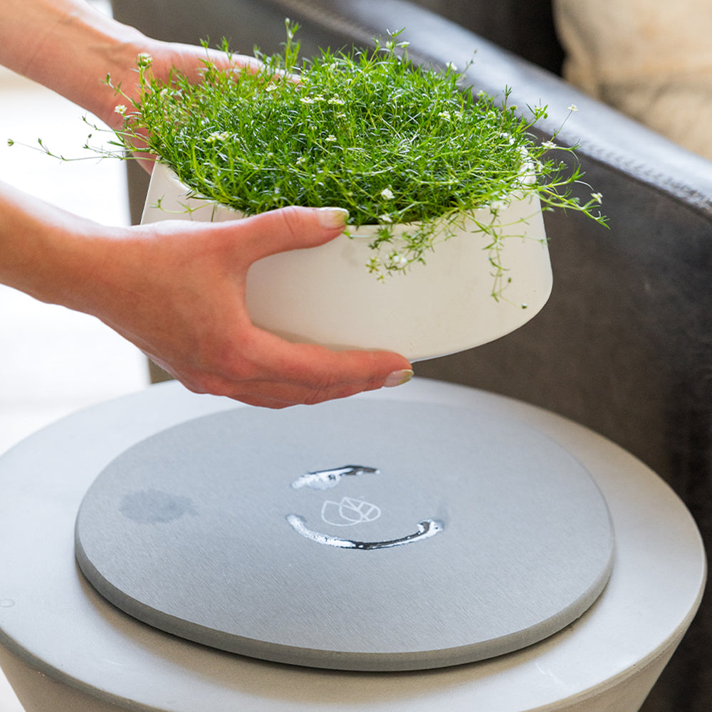 Stone Saucer - 2 Large by Dorai Home | Quick-Drying Home Essentials