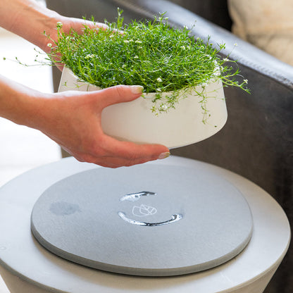 Stone Saucer - 2 Large by Dorai Home | Quick-Drying Home Essentials