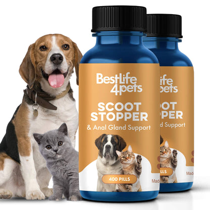 Scoot Stopper & Anal Gland Support for Dogs and Cats by BestLife4Pets