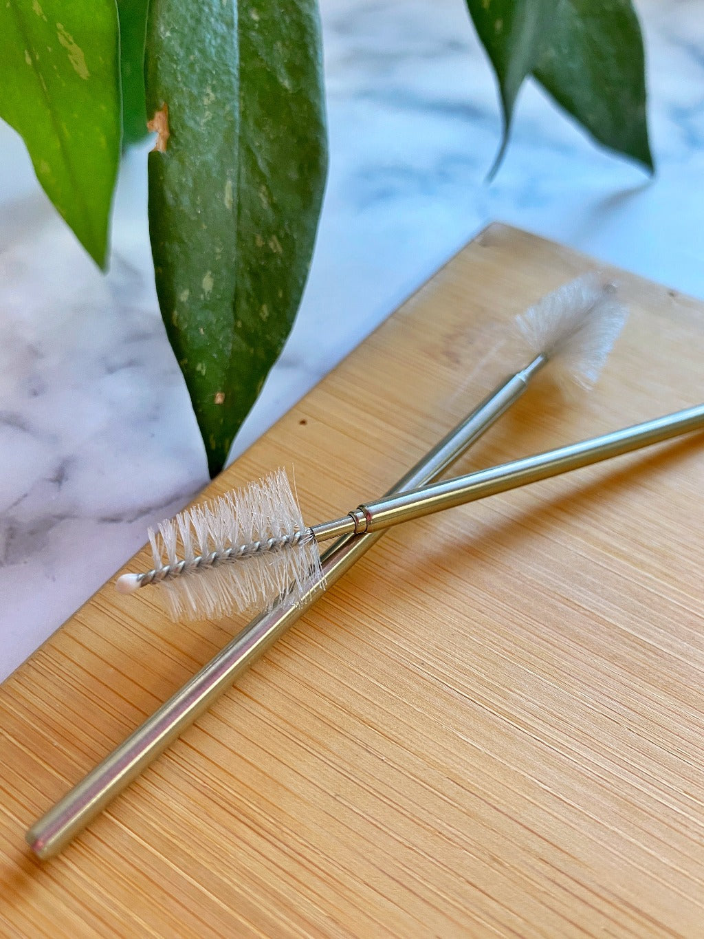 Straw Cleaning Brushes 2-pack