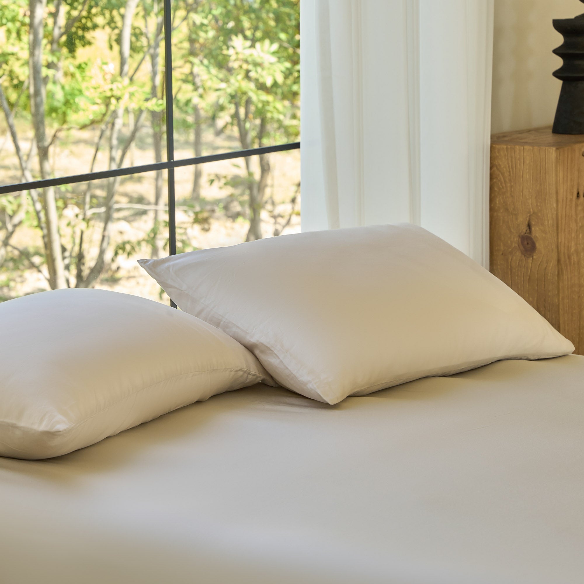 AiryWeight Eucalyptus Pillowcase Set