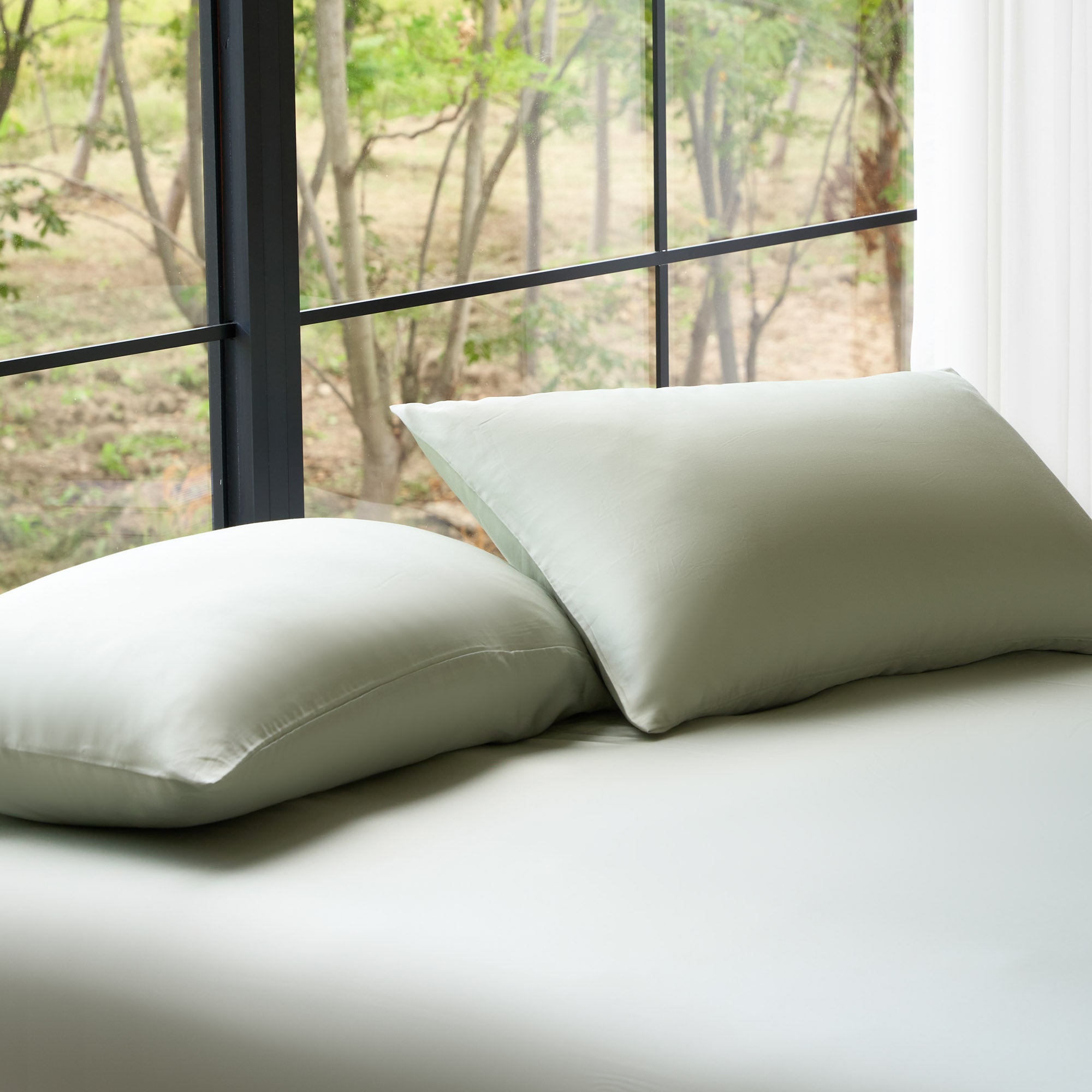 AiryWeight Eucalyptus Pillowcase Set